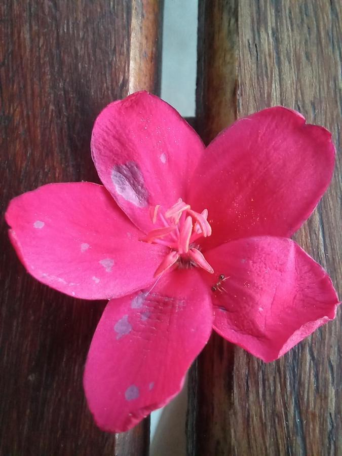 Urban Farm Haus Guesthouse Rundu Ngoại thất bức ảnh