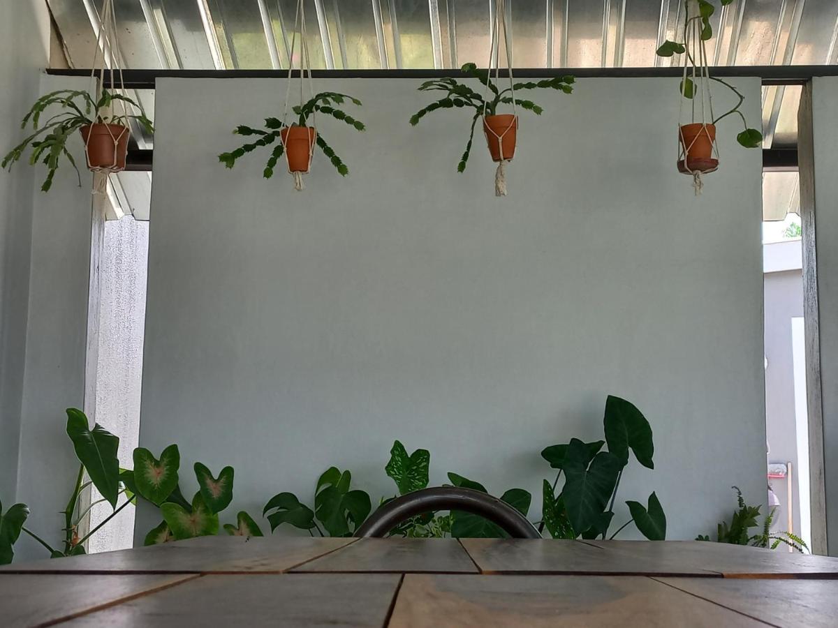 Urban Farm Haus Guesthouse Rundu Ngoại thất bức ảnh