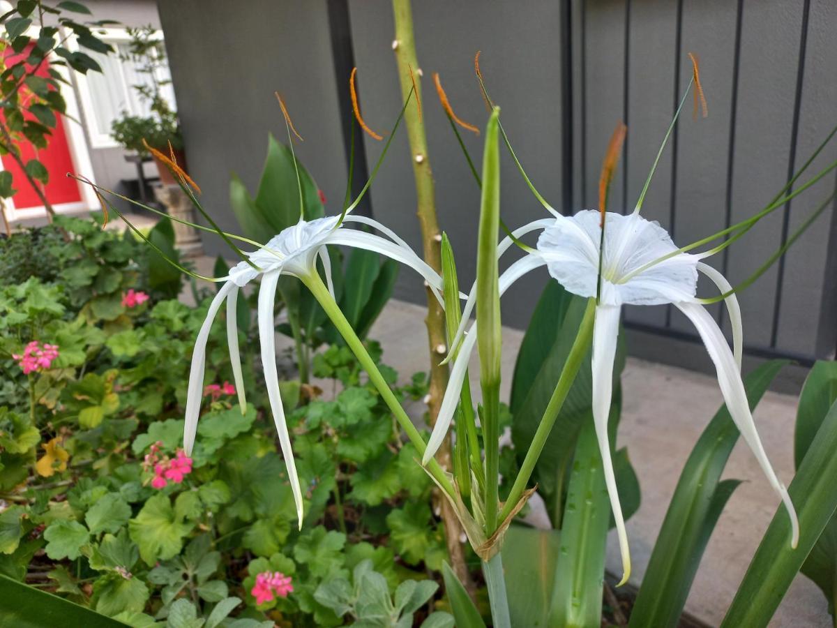 Urban Farm Haus Guesthouse Rundu Ngoại thất bức ảnh
